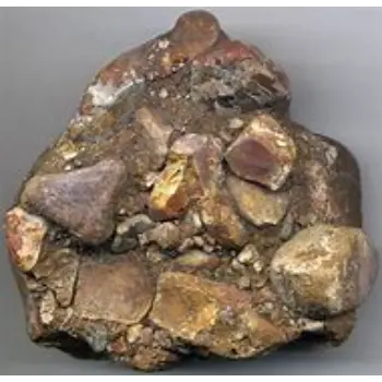 Polished Sedimentary Stone