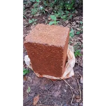 Stairway Sedimentary Stone