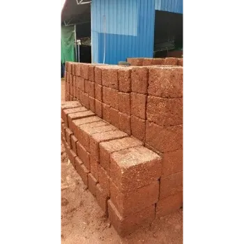 Polished Sedimentary Stone