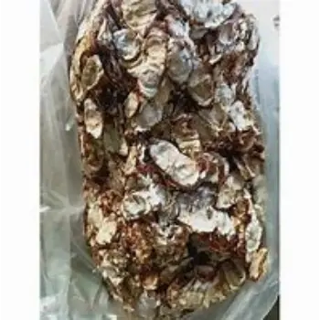 common Seedless Imli