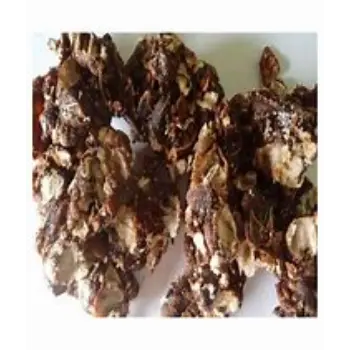 Seedless Imli