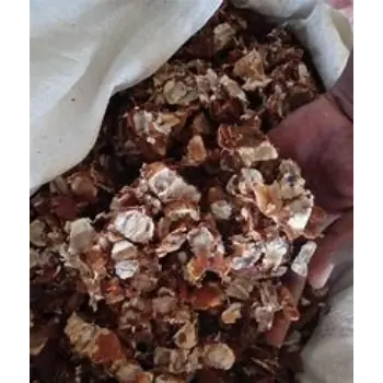 Fresh Seedless Imli