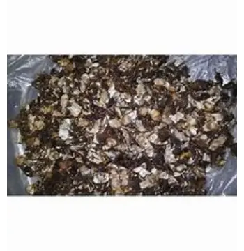Fresh Seedless Imli