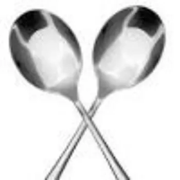 Shree Ram Products Pvt Ltd Serving Utensil