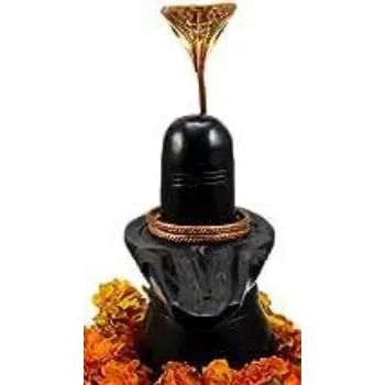 Black Shiva Shivling