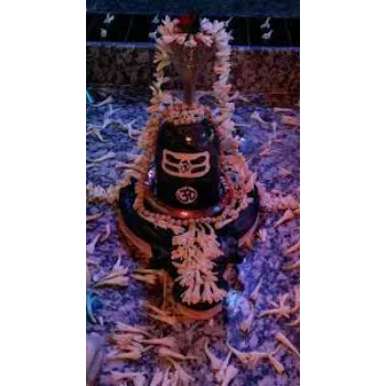  Black Shiv Shivling