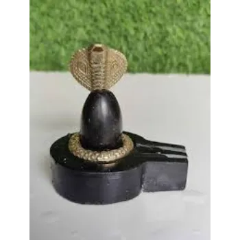  Natural Shiva Shivling