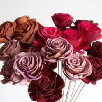 Shola Flower