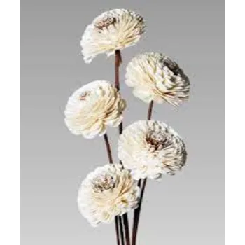 Natural Shola Flowers