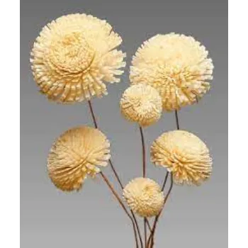 Natural Shola Flowers