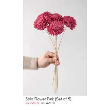 Common Shola Flowers