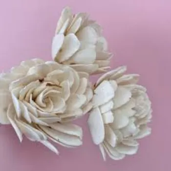 Natural Shola Flower