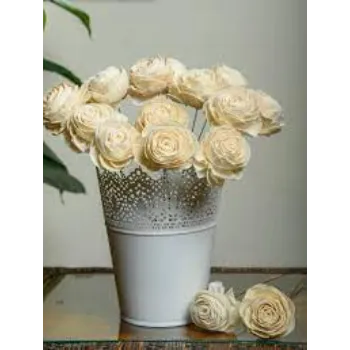 Common Shola Flowers