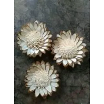 Shola Flower