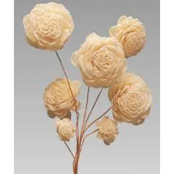 Fresh   Shola Flower