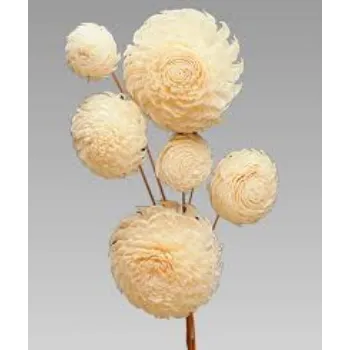 yellow Shola Flower