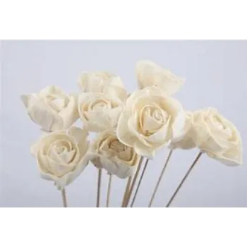 Shola Flower