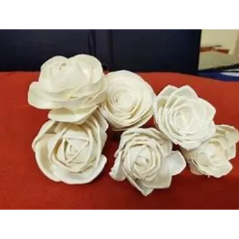 Shola Flower