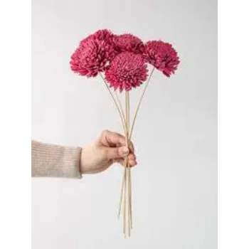 Natural Shola Flowers