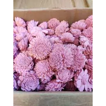 Organic Shola Flowers