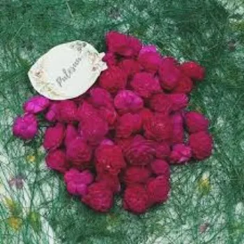 Natural Fresh Shola Flower