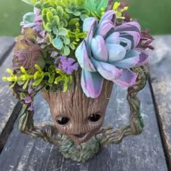 Organic Shola Flowers