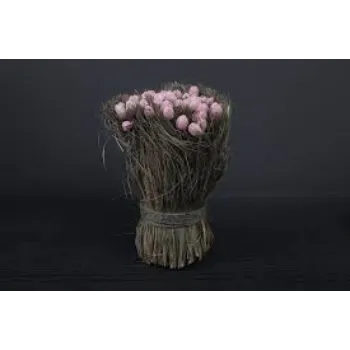 Fresh Shola Flowers