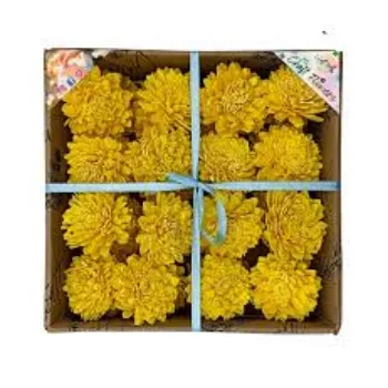 Fresh Shola Flowers
