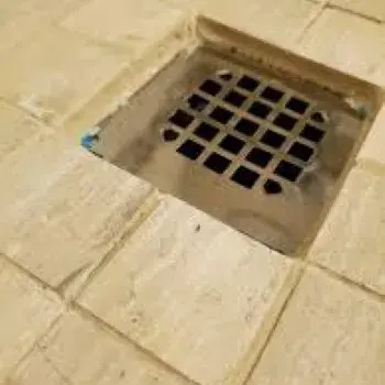 Polished, Shower Drain