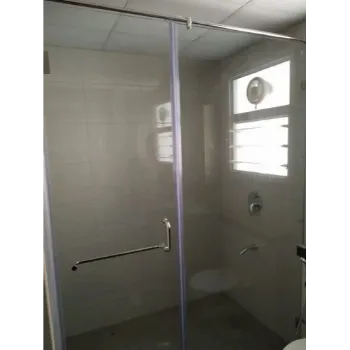 Polished Shower Glass Door