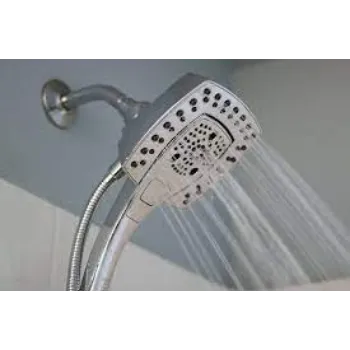 Stainless Steel Shower Head