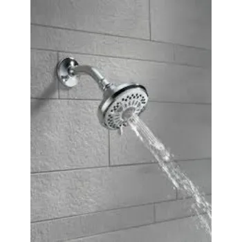 Bathroom Shower Head
