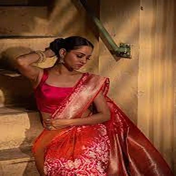 Exclusive New Pattern Silk Banarasi Saree