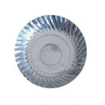 Modern Silver Foil Paper Plates