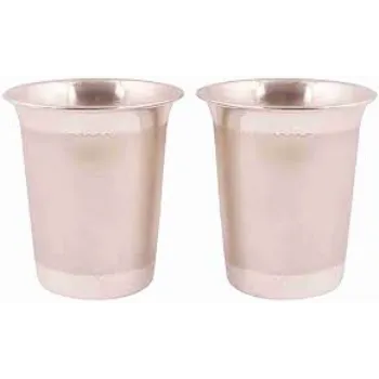 Rust Proof Silver Glass 