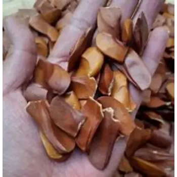 Organic Sky Fruit Seeds