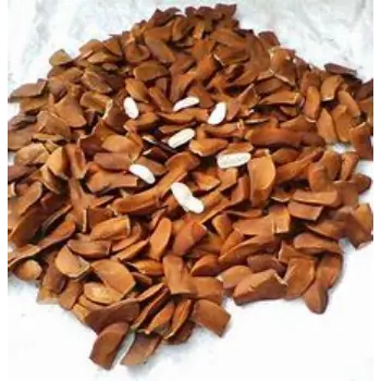 Sky Fruit Seeds