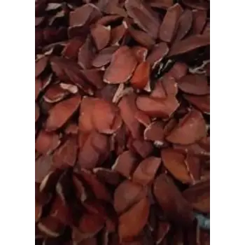 Sky Fruit Seeds