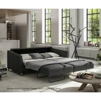 Sleeper Sofa