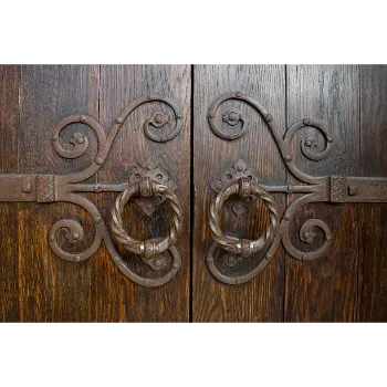 Mahavir Solid Wood Door