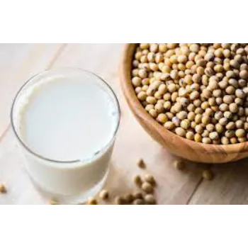 Organic Soy Milk