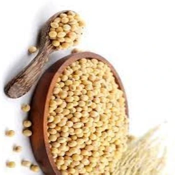 Soya Protein