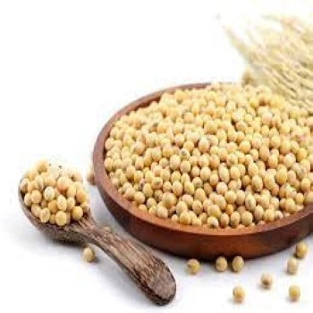 Soya Protein
