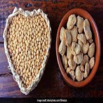 Soya Protein
