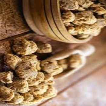 Soya Protein