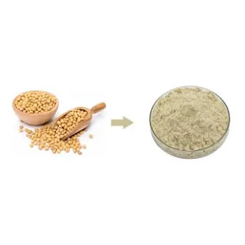 Soya Protein