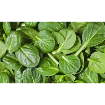 Natural Spinach
