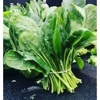 Natural Spinach