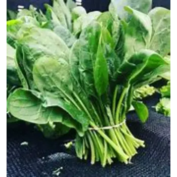 Spinach