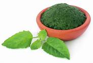 Common Spinach Powder
